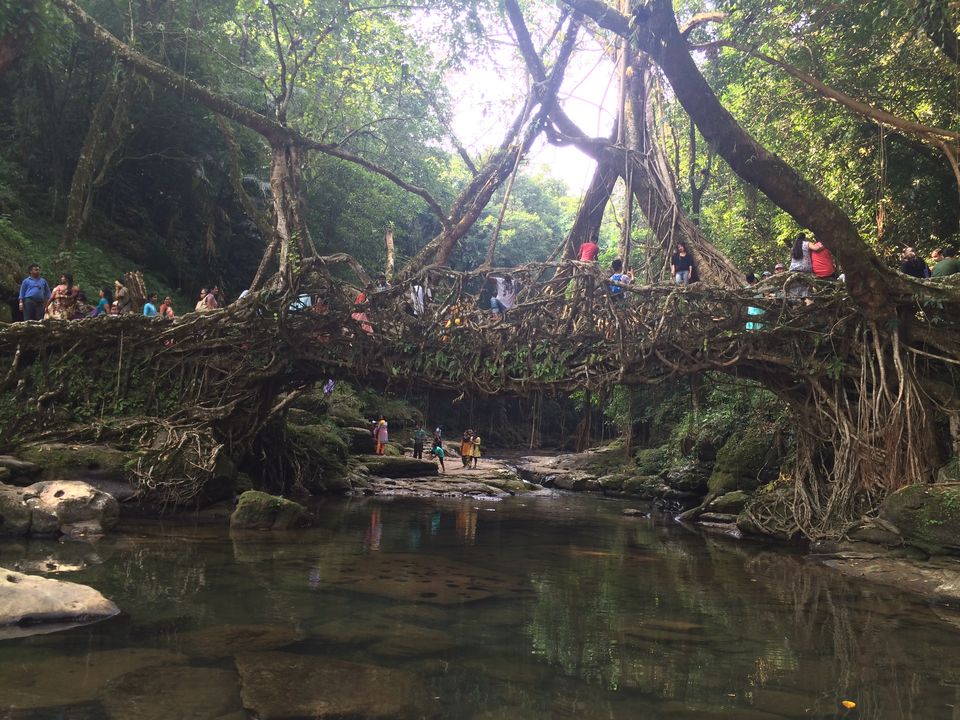 Photo of Welcome to Meghalaya 16/42 by Dominic Liang