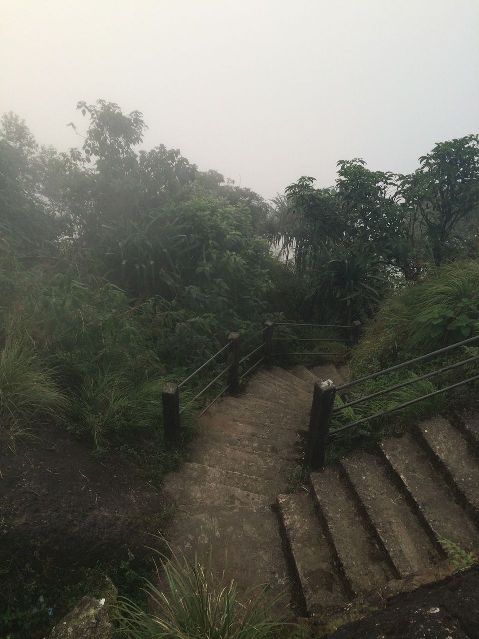 Photo of Welcome to Meghalaya 25/42 by Dominic Liang