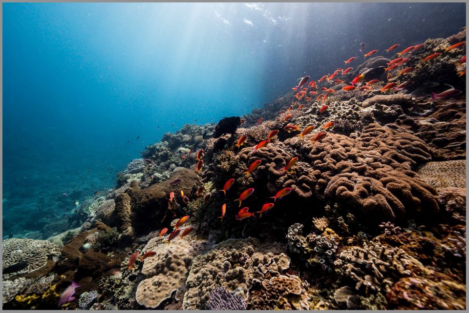 Photo of Nusa Lembongan, Jungutbatu, Klungkung Regency, Bali, Indonesia by Dominic Liang