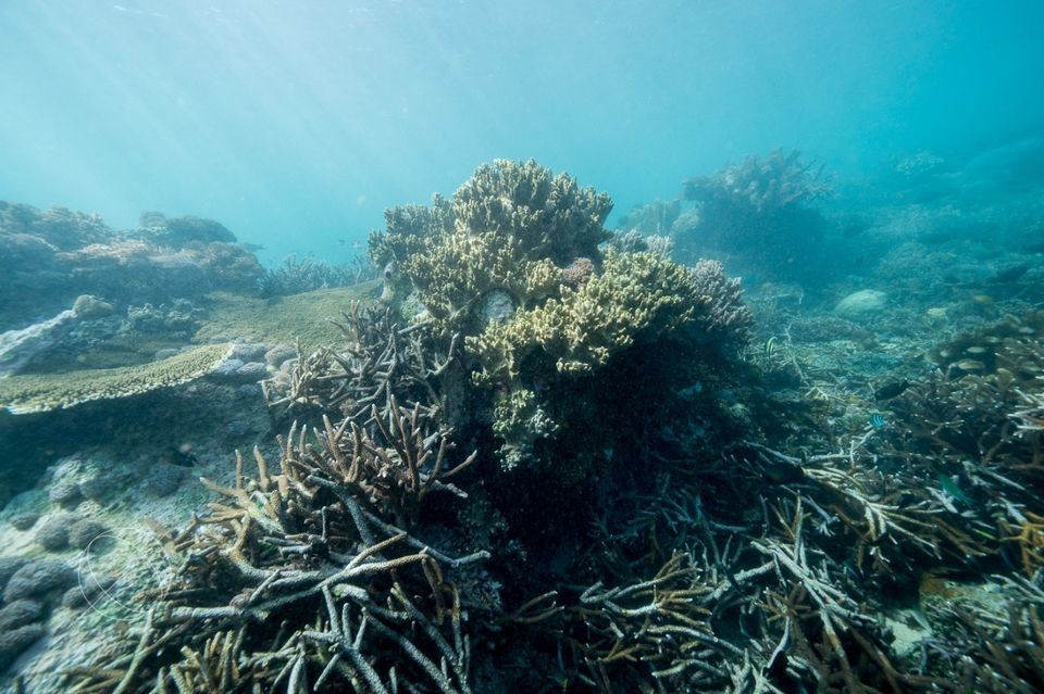 Photo of Nusa Lembongan, Jungutbatu, Klungkung Regency, Bali, Indonesia by Dominic Liang