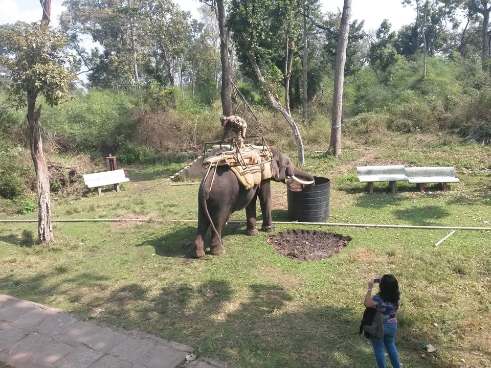 Photo of Solo Travelling in Coorg 3/16 by Dominic Liang