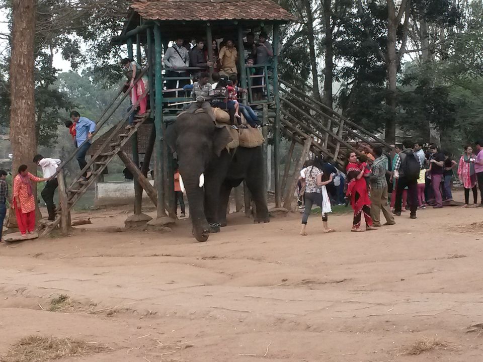 Photo of Solo Travelling in Coorg 7/16 by Dominic Liang