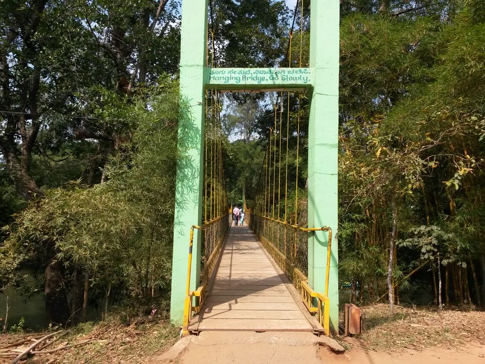 Photo of Solo Travelling in Coorg 10/16 by Dominic Liang