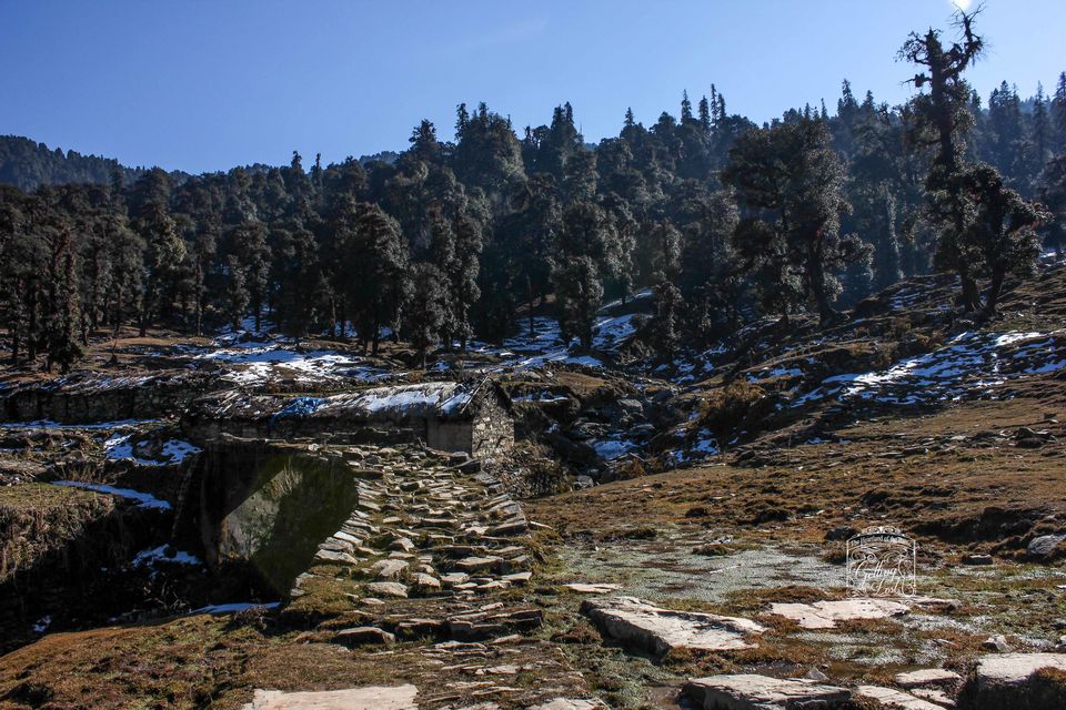 Photo of New Year at 4000 m Pt-I (Chandrashila) 6/9 by Walter Mitty (Olliee)
