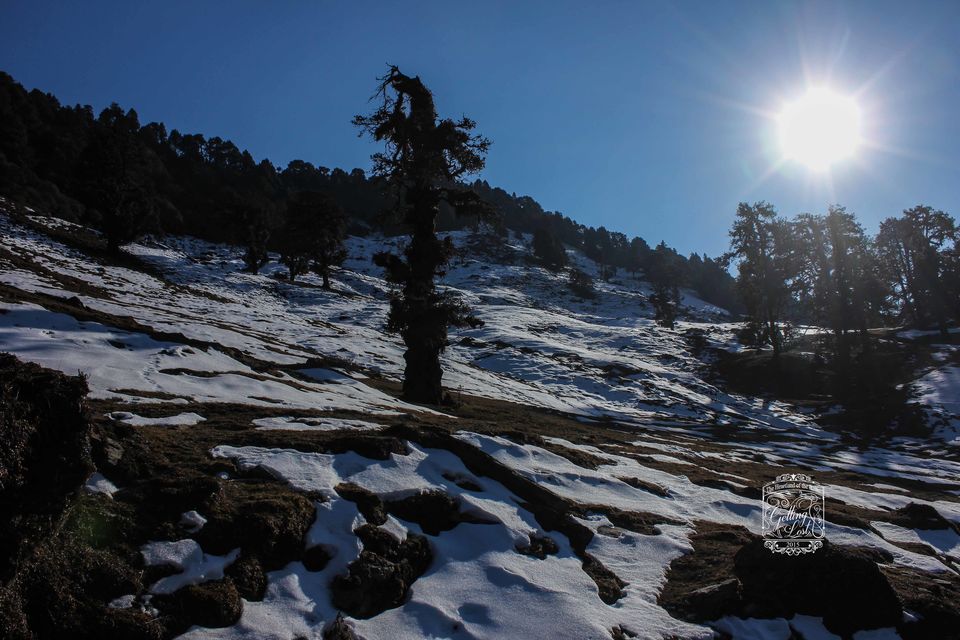 Photo of New Year at 4000 m Pt-I (Chandrashila) 8/9 by Walter Mitty (Olliee)
