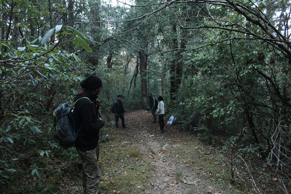 Photo of New Year at 4000 mt (Chandrashila) Pt- II by Oliur Rahman