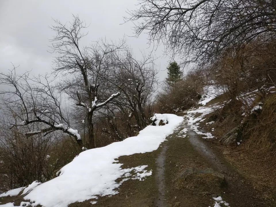Photo of A hike to Rangthar, i call it "Hidden Paradise of Tirthan Valley". by Walter Mitty (Olliee)