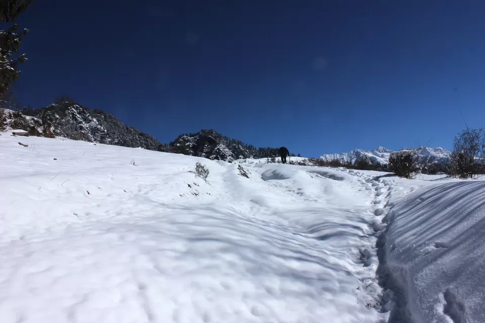 Photo of A hike to Rangthar, i call it "Hidden Paradise of Tirthan Valley". by Walter Mitty (Olliee)