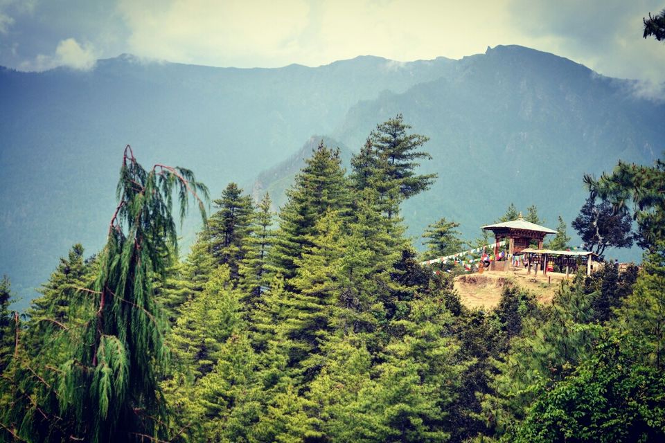 Photo of Tripoto Contest -travel + leisure by Shreya Bhargava Garg