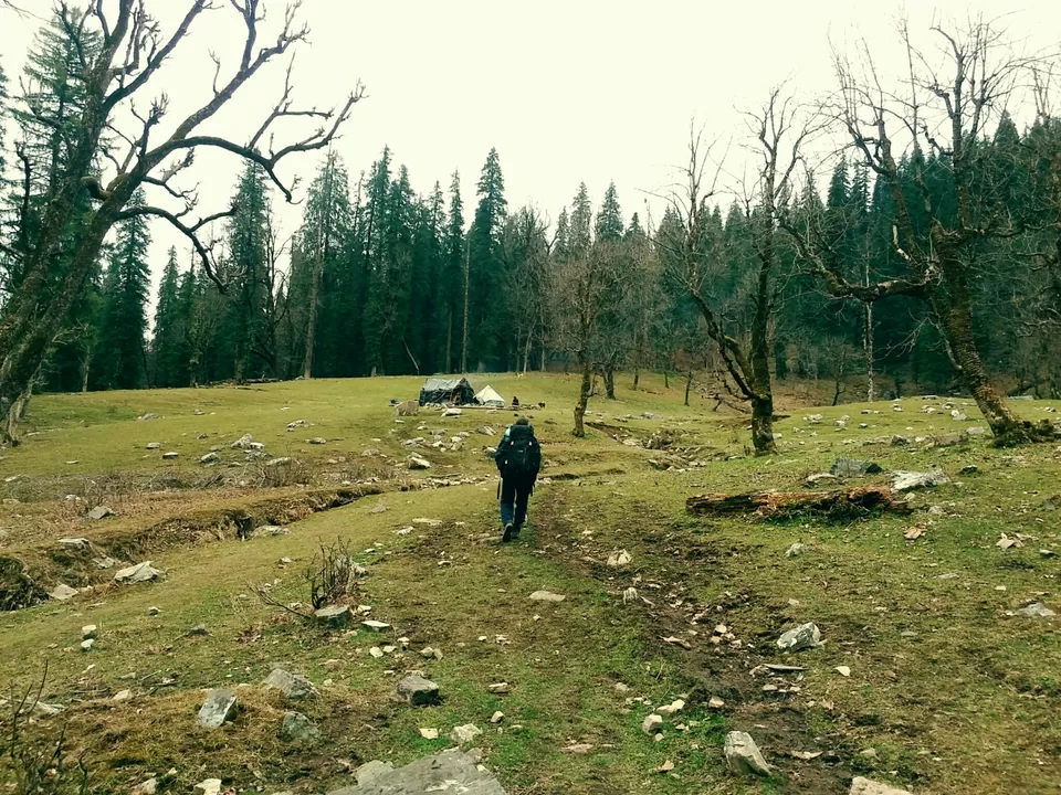 Photo of Kedarkantha Trek, Halduchaur, Uttarakhand, India by Shreya Bhargava Garg