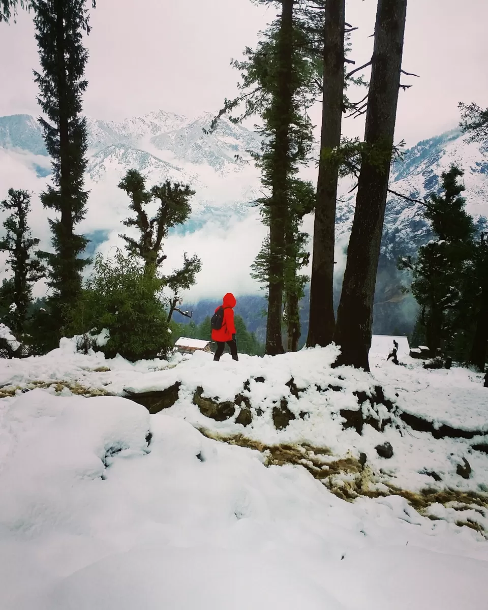 Photo of Kedarkantha Trek, Halduchaur, Uttarakhand, India by Shreya Bhargava Garg