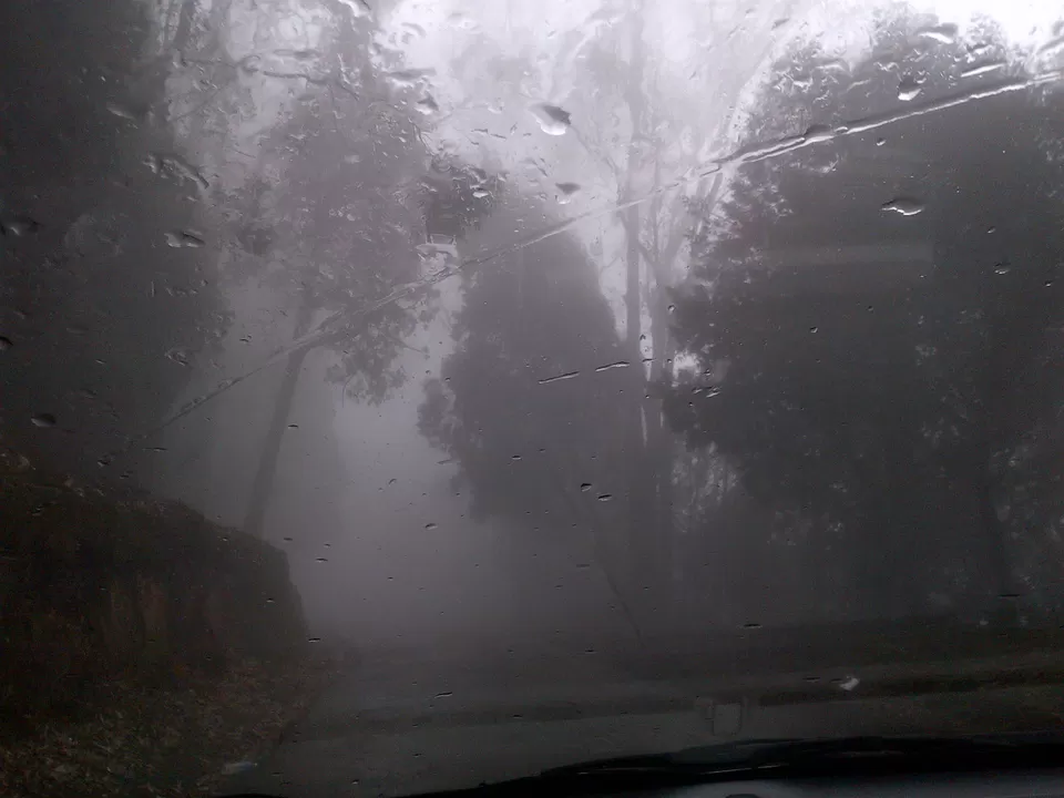 Photo of Ooty, Tamil Nadu, India by Shreya Bhargava Garg