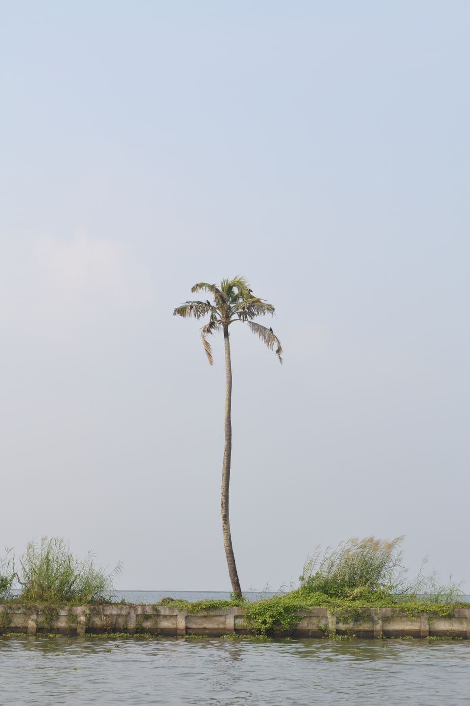 Photo of Unconventional Honeymooners-A Roadtrip 5/30 by Shreya Bhargava Garg