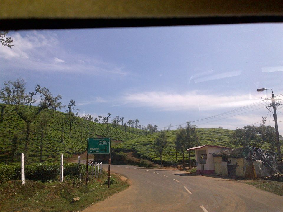 Photo of Unconventional Honeymooners-A Roadtrip 7/30 by Shreya Bhargava Garg