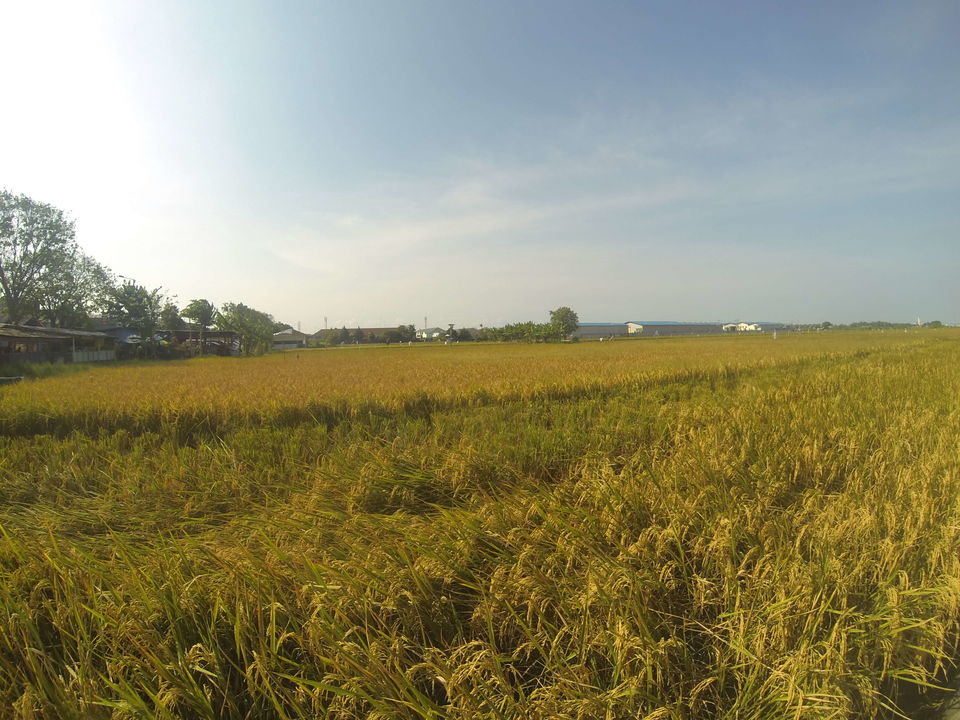 Photo of Mountain point of view. 1/14 by Nur Syahirah
