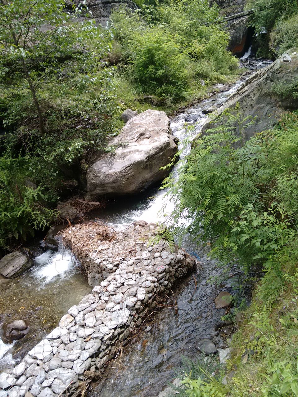 Photo of Trekking the HIMALAYAS 21/50 by Shashwat Bhardwaj