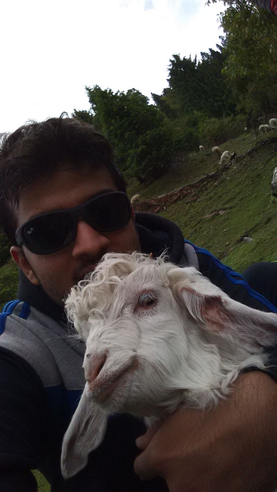 Photo of Trekking the HIMALAYAS 25/50 by Shashwat Bhardwaj