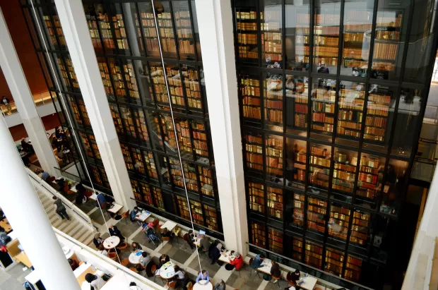 Photo of The British Library, Euston Road, London, United Kingdom by shay