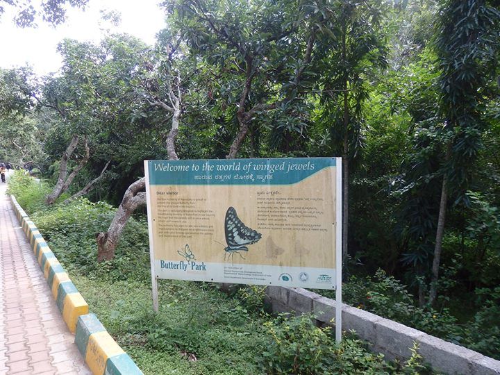 Photo of Bannerghatta National Park, Bannerughatta, Bengaluru, Karnataka, India by Shoumava A Sengupta