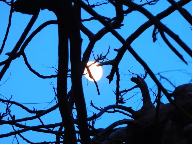 Photo of Sri Virupaksha Temple, Hampi, Karnataka, India by Shoumava A Sengupta