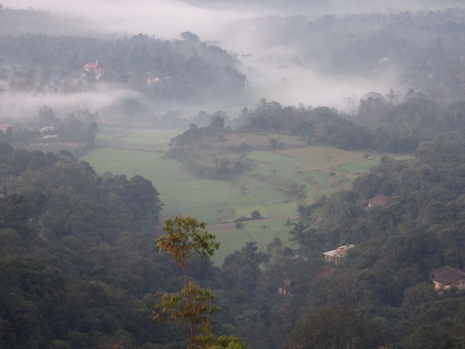 Photo of Solo trip to the Scotland of India - Coorg 5/34 by Shoumava A Sengupta