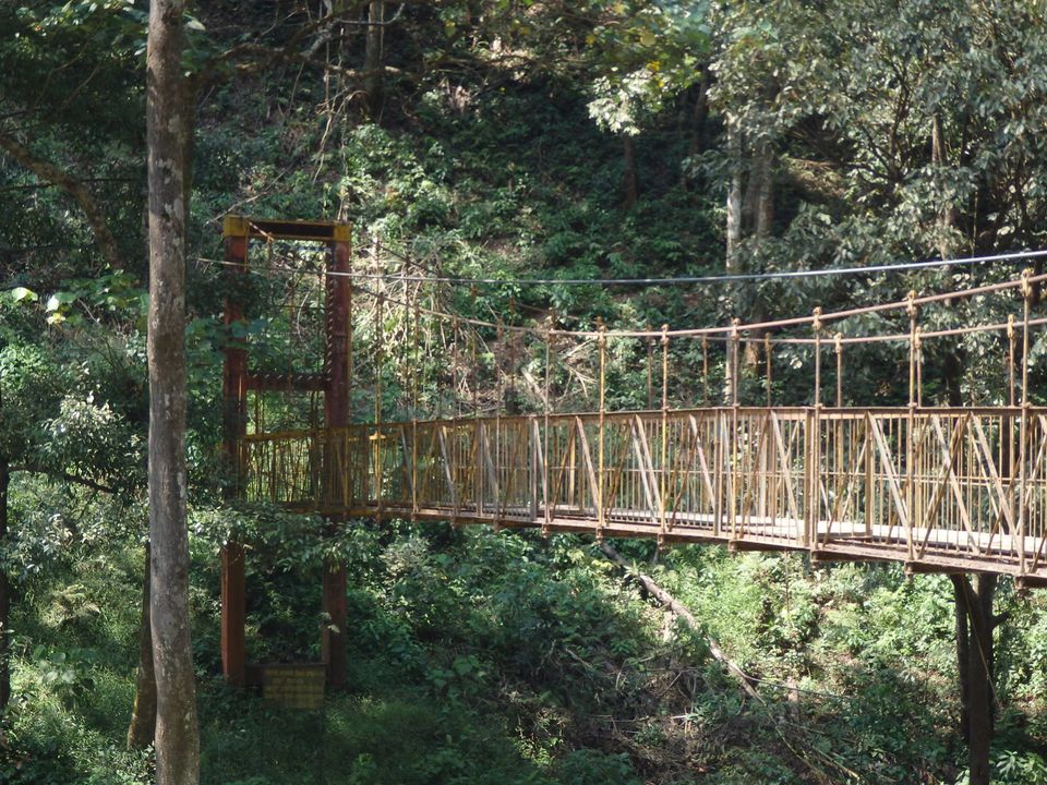 Photo of Solo trip to the Scotland of India - Coorg 7/34 by Shoumava A Sengupta