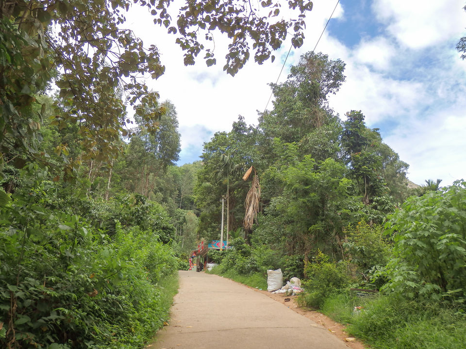Photo of Wayanad -A trip into nature's lap 4/36 by Shoumava A Sengupta