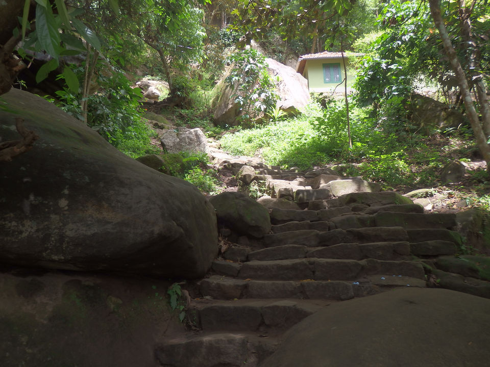 Photo of Wayanad -A trip into nature's lap 6/36 by Shoumava A Sengupta