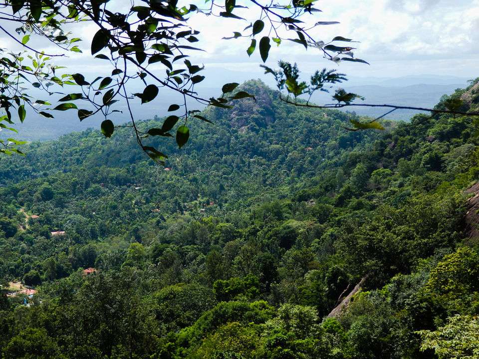 Photo of Wayanad -A trip into nature's lap 10/36 by Shoumava A Sengupta