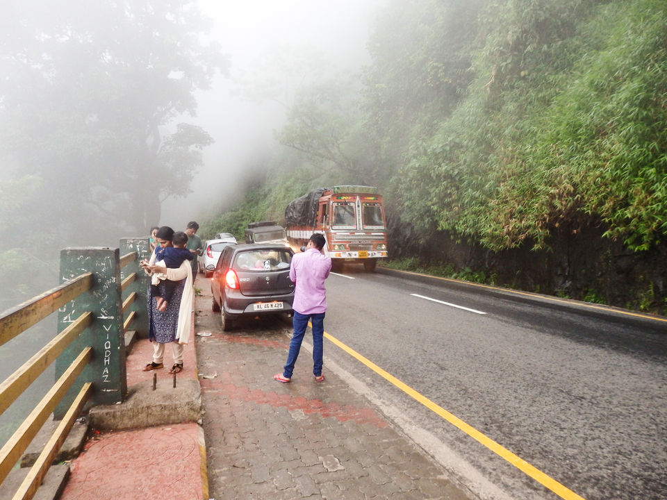 Photo of Wayanad -A trip into nature's lap 14/36 by Shoumava A Sengupta