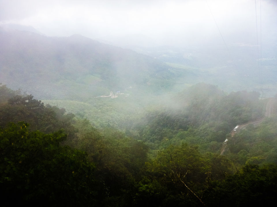 Photo of Wayanad -A trip into nature's lap 13/36 by Shoumava A Sengupta