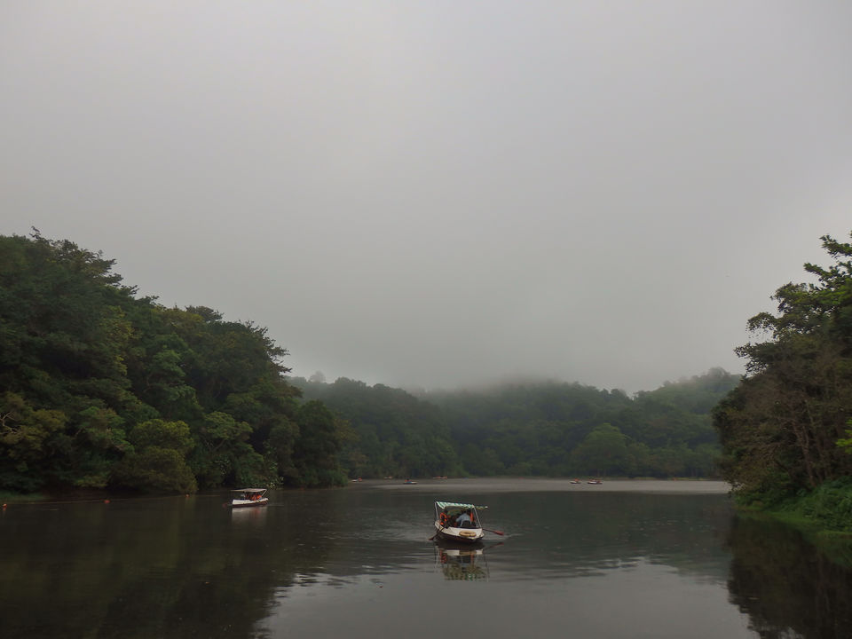 Photo of Wayanad -A trip into nature's lap 17/36 by Shoumava A Sengupta