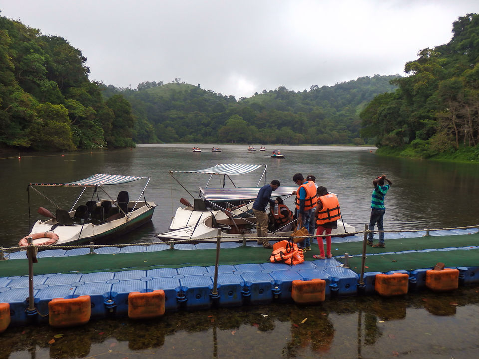 Photo of Wayanad -A trip into nature's lap 15/36 by Shoumava A Sengupta