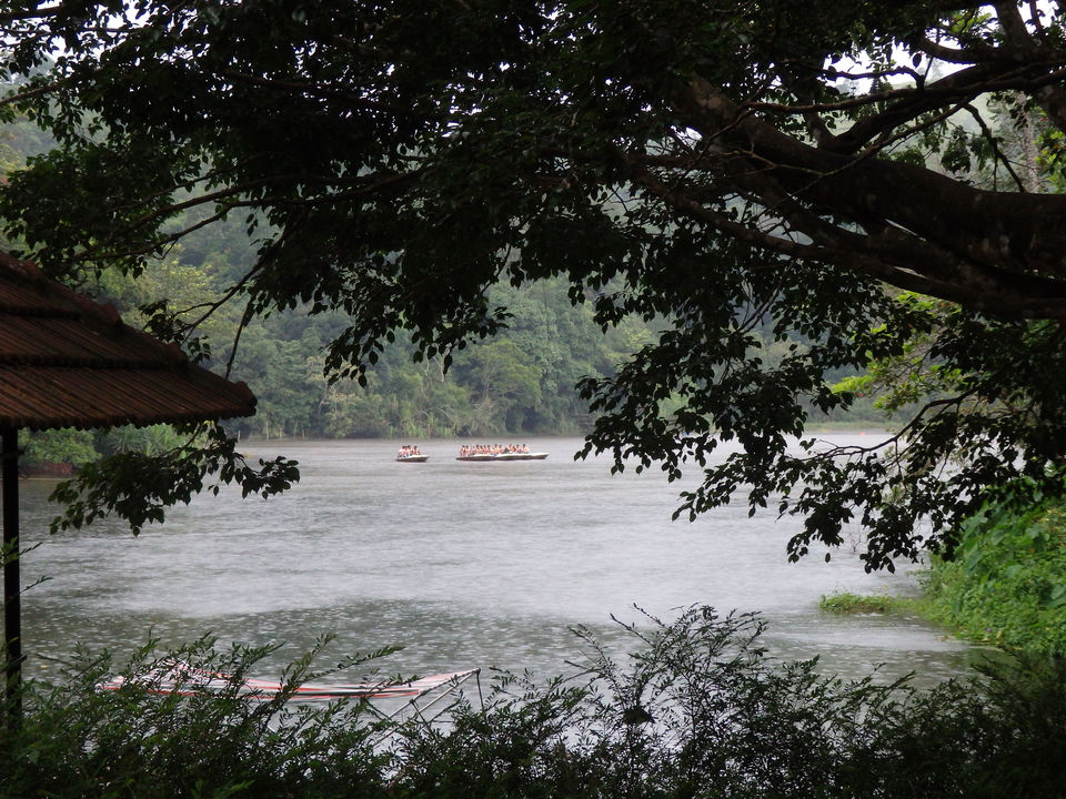 Photo of Wayanad -A trip into nature's lap 16/36 by Shoumava A Sengupta