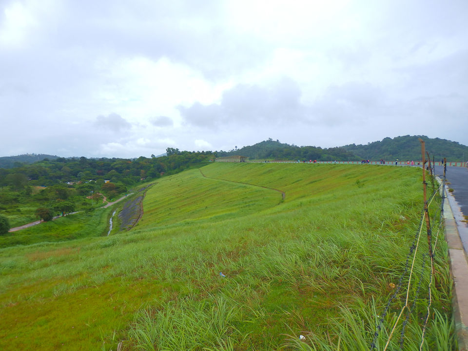 Photo of Wayanad -A trip into nature's lap 19/36 by Shoumava A Sengupta