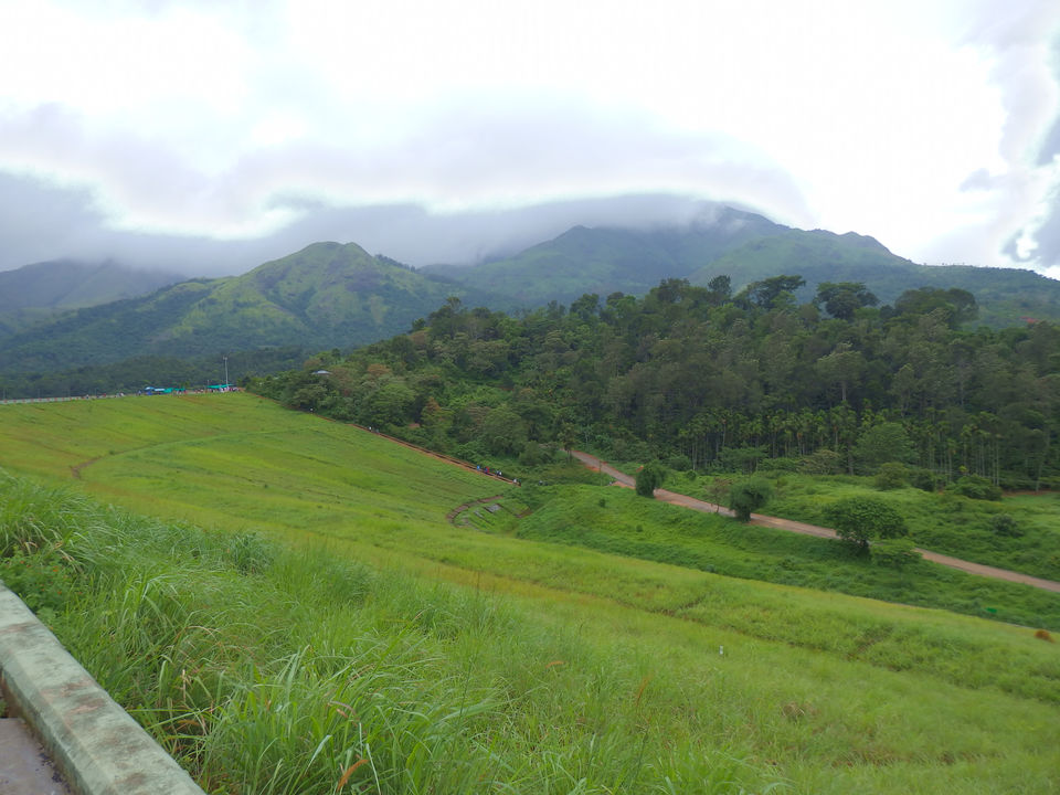 Photo of Wayanad -A trip into nature's lap 23/36 by Shoumava A Sengupta