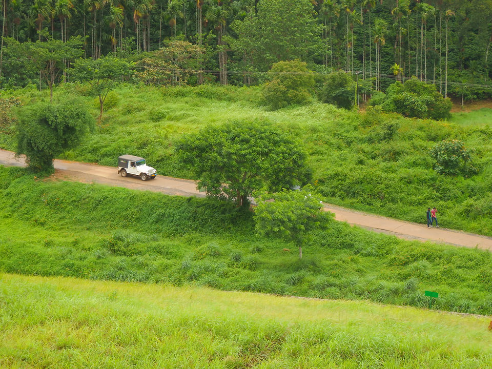 Photo of Wayanad -A trip into nature's lap 22/36 by Shoumava A Sengupta