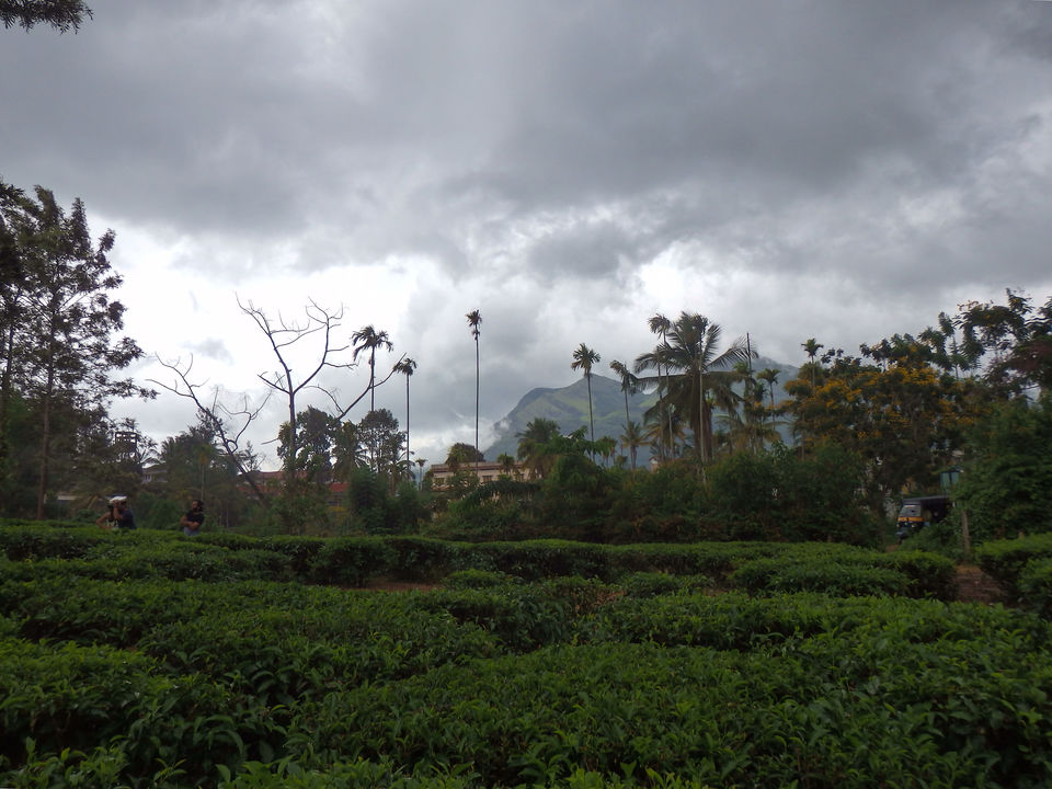 Photo of Wayanad -A trip into nature's lap 28/36 by Shoumava A Sengupta