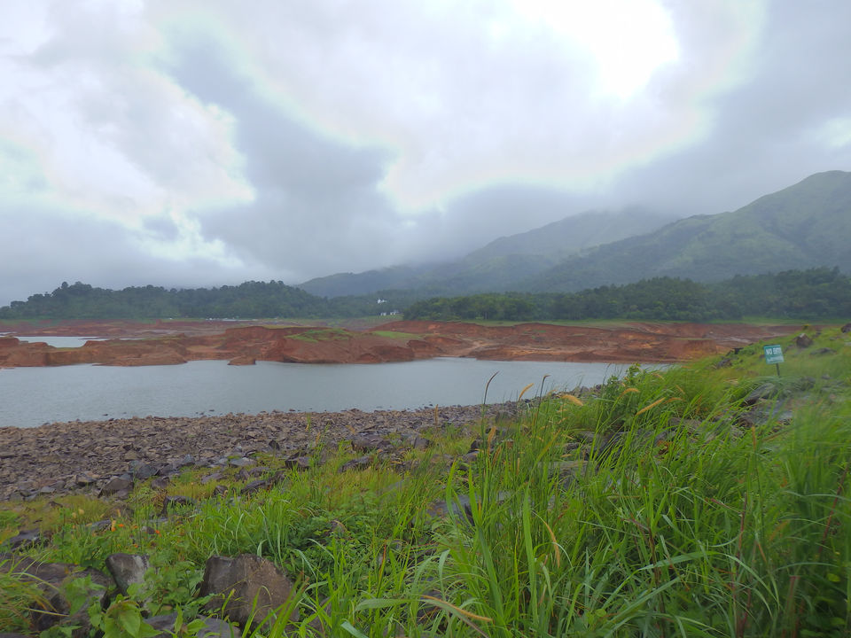 Photo of Wayanad -A trip into nature's lap 20/36 by Shoumava A Sengupta