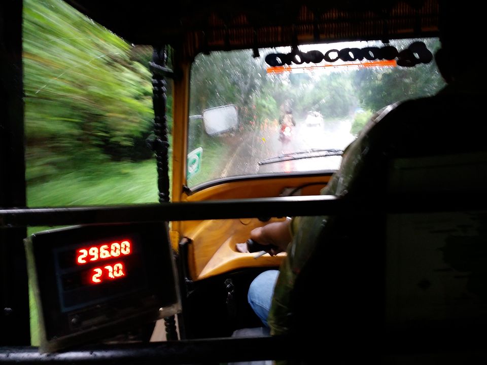 Photo of Wayanad -A trip into nature's lap 36/36 by Shoumava A Sengupta