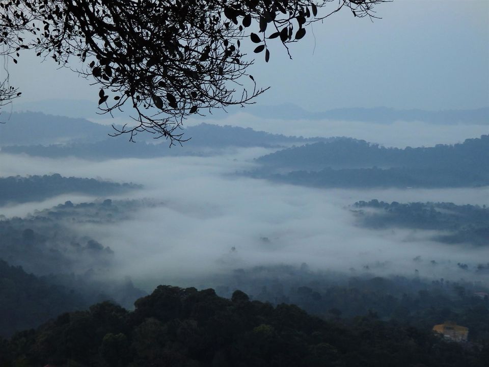 Photo of Solo trip to the Scotland of India - Coorg 1/34 by Shoumava A Sengupta