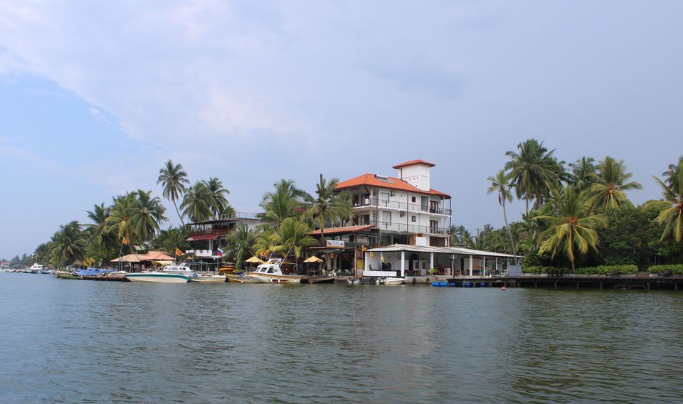 Photo of Bentota River Safari, Galle Road, Bentota, Sri Lanka by Shoumava A Sengupta