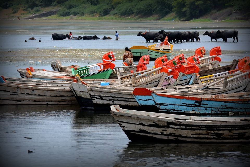 Photo of Pilgrimage to Pandharpur 5/8 by Abhinav Daharwal