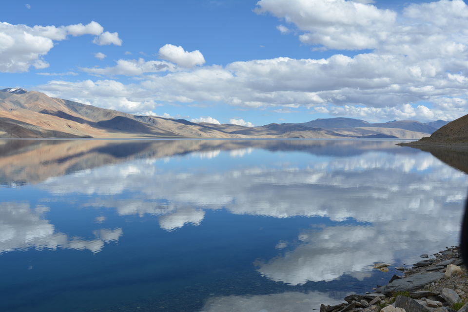 Photo of An Encounter with Magical Beauty by Tejasvita Singh
