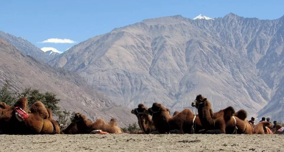 Photo of Ladakh ~ Through my eyes! by Ritika Badoni