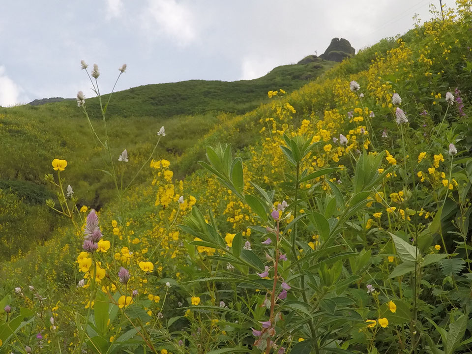 Photo of This Trek In Maharashtra Is A Hidden Paradise by Ritika Badoni