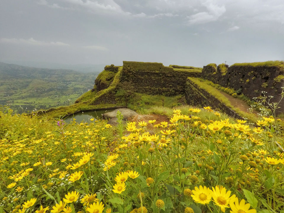 Photo of This Trek In Maharashtra Is A Hidden Paradise by Ritika Badoni