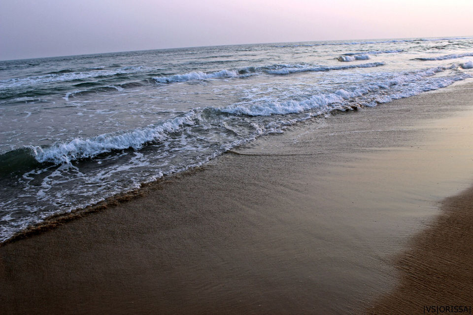 Photo of ROAD TRIP ACROSS 5 STATES by Varsha Singh