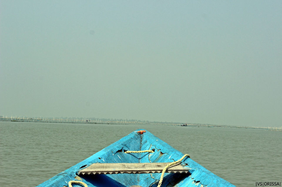 Photo of ROAD TRIP ACROSS 5 STATES by Varsha Singh