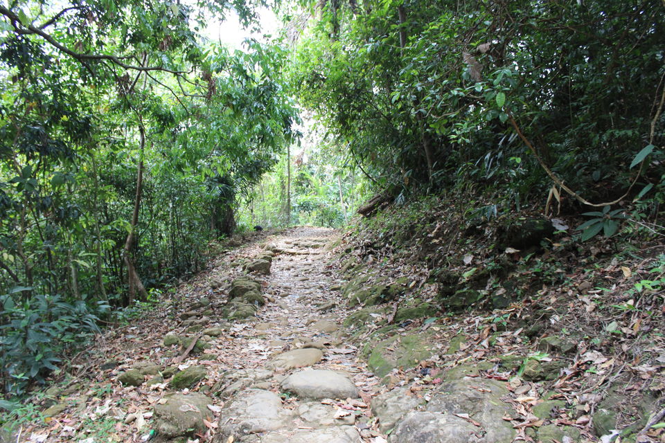 Photo of Asia's Cleanest Village, Mawsmai Cave and a Live Root Bridge! 3/13 by Varsha Singh